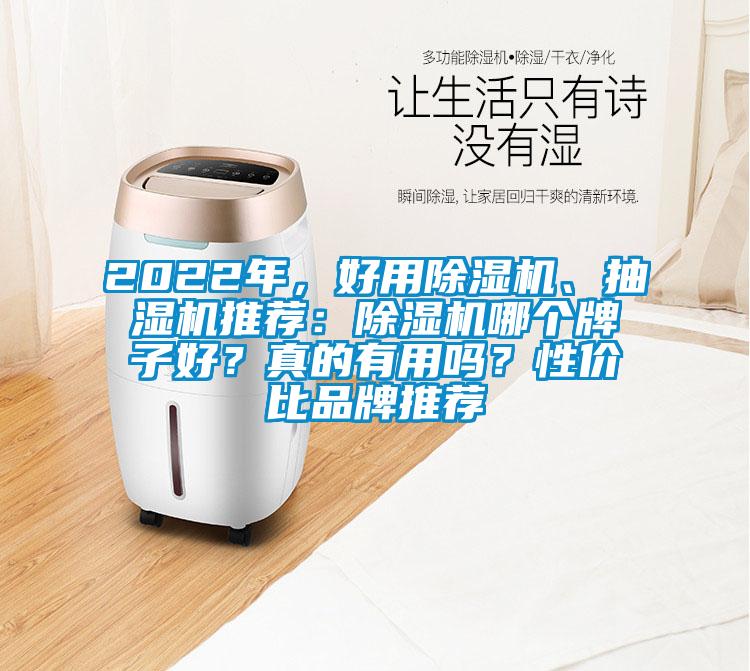 2022年，好用除濕機、抽濕機推薦：除濕機哪個牌子好？真的有用嗎？性價比品牌推薦