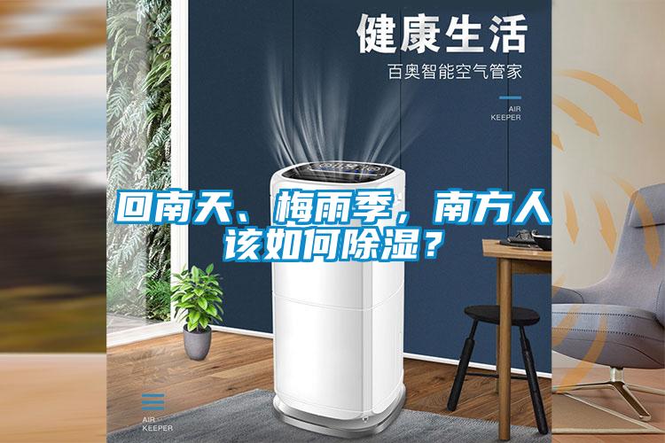 回南天、梅雨季，南方人該如何除濕？