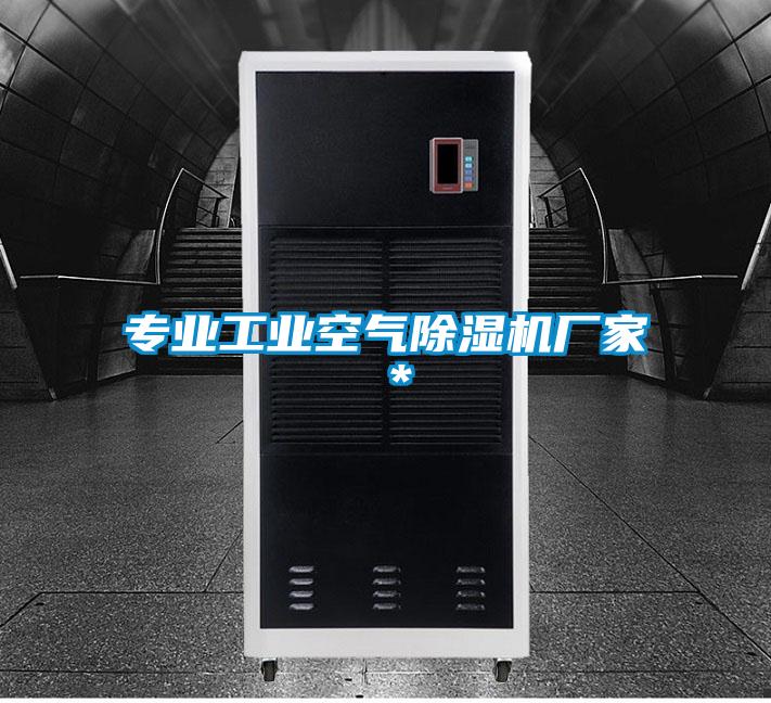 專(zhuān)業(yè)工業(yè)空氣除濕機(jī)廠家＊