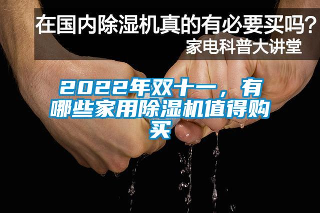 2022年雙十一，有哪些家用除濕機(jī)值得購(gòu)買