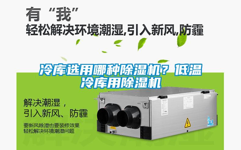 冷庫(kù)選用哪種除濕機(jī)？低溫冷庫(kù)用除濕機(jī)