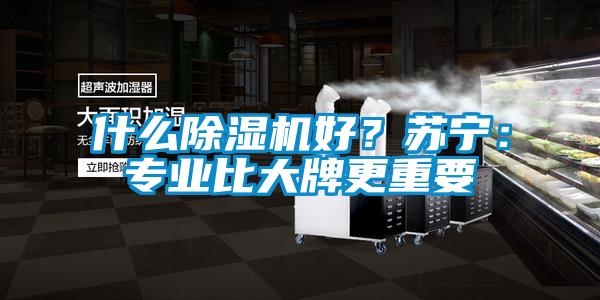 什么除濕機(jī)好？蘇寧：專業(yè)比大牌更重要