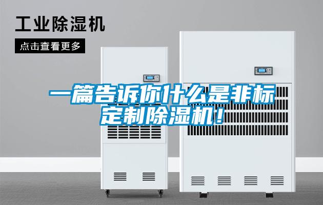 一篇告訴你什么是非標(biāo)定制除濕機！