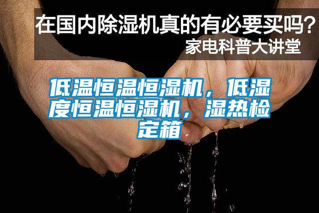 低溫恒溫恒濕機(jī)，低濕度恒溫恒濕機(jī)，濕熱檢定箱