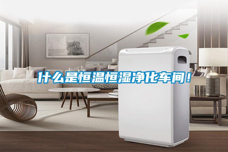 什么是恒溫恒濕凈化車間！