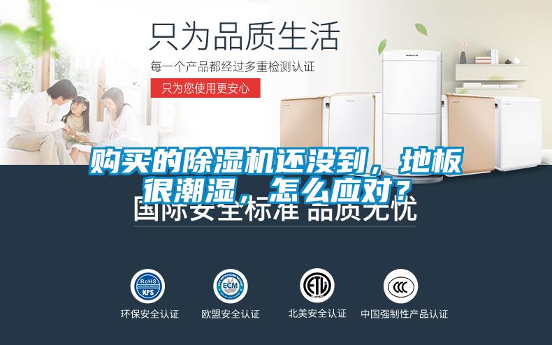 購買的除濕機(jī)還沒到，地板很潮濕，怎么應(yīng)對(duì)？