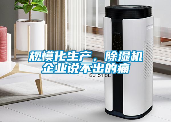 規(guī)?；a(chǎn)，除濕機(jī)企業(yè)說(shuō)不出的痛