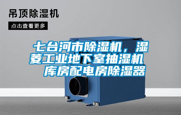 七臺(tái)河市除濕機(jī)，濕菱工業(yè)地下室抽濕機(jī)  庫房配電房除濕器