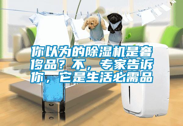 你以為的除濕機(jī)是奢侈品？不，專家告訴你，它是生活必需品