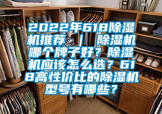 2022年618除濕機(jī)推薦 ｜ 除濕機(jī)哪個(gè)牌子好？除濕機(jī)應(yīng)該怎么選？618高性價(jià)比的除濕機(jī)型號(hào)有哪些？