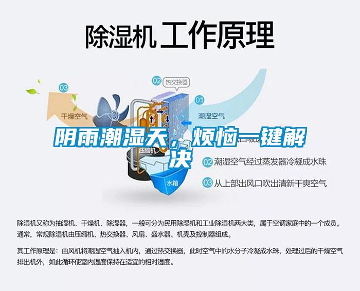 陰雨潮濕天，煩惱一鍵解決