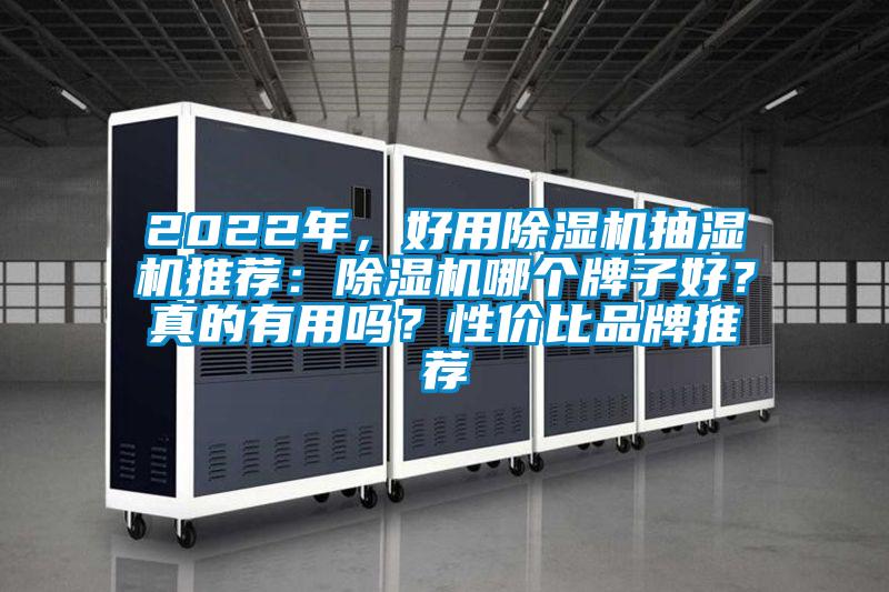 2022年，好用除濕機抽濕機推薦：除濕機哪個牌子好？真的有用嗎？性價比品牌推薦