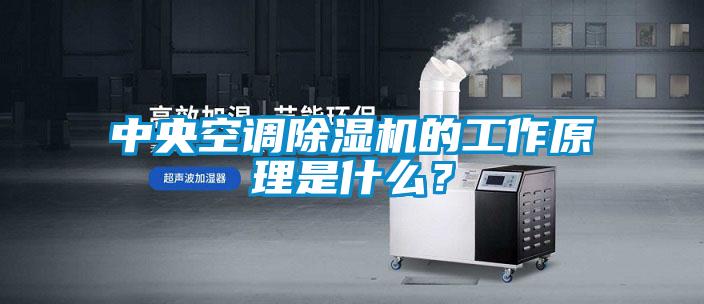 中央空調(diào)除濕機(jī)的工作原理是什么？