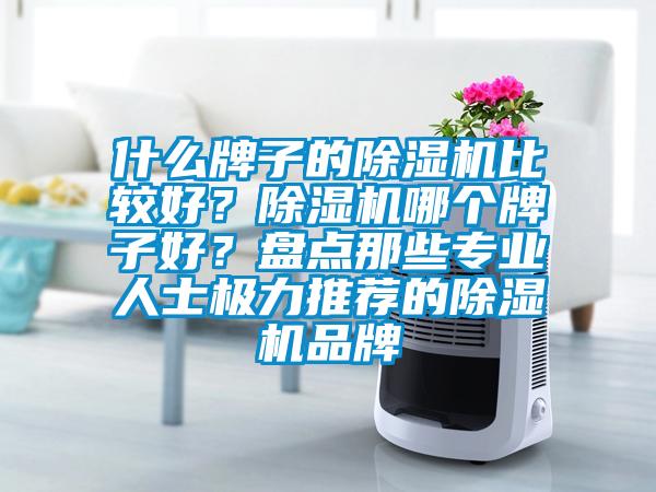 什么牌子的除濕機比較好？除濕機哪個牌子好？盤點那些專業(yè)人士極力推薦的除濕機品牌