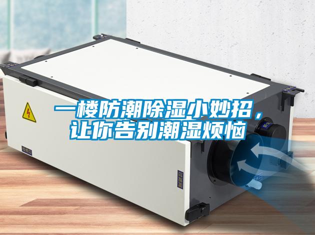 一樓防潮除濕小妙招，讓你告別潮濕煩惱