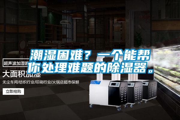 潮濕困難？一個能幫你處理難題的除濕器。