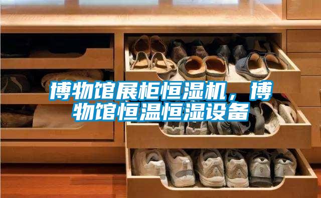 博物館展柜恒濕機(jī)，博物館恒溫恒濕設(shè)備