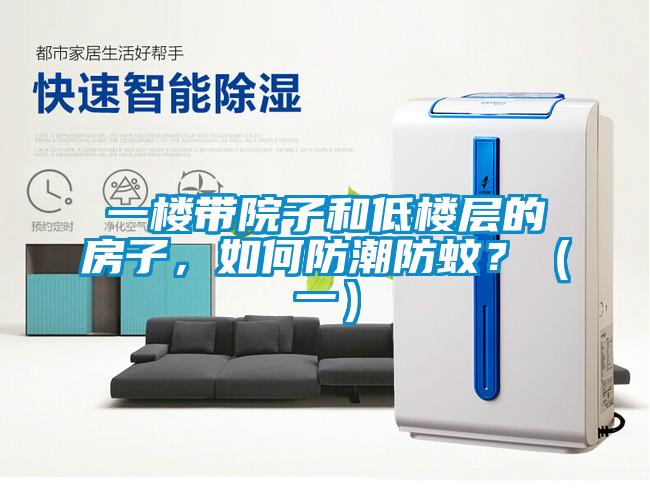一樓帶院子和低樓層的房子，如何防潮防蚊？（一）