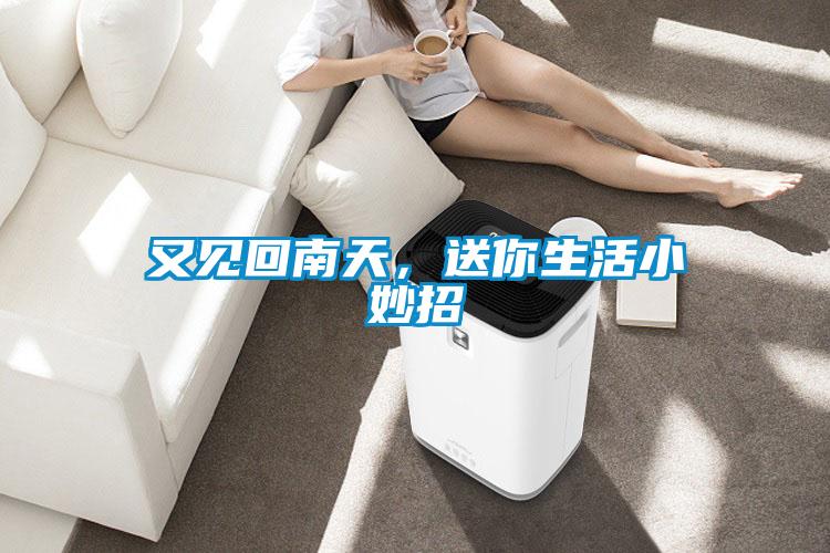 又見回南天，送你生活小妙招