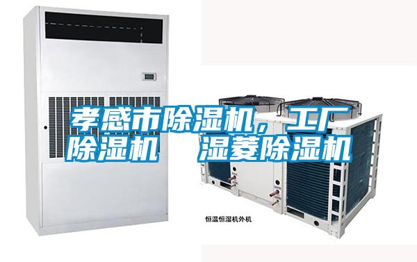 孝感市除濕機(jī)，工廠除濕機(jī)  濕菱除濕機(jī)