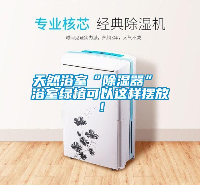 天然浴室“除濕器” 浴室綠植可以這樣擺放！