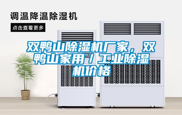雙鴨山除濕機(jī)廠家，雙鴨山家用／工業(yè)除濕機(jī)價(jià)格