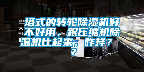 塔式的轉(zhuǎn)輪除濕機(jī)好不好用，跟壓縮機(jī)除濕機(jī)比起來，咋樣？ ？