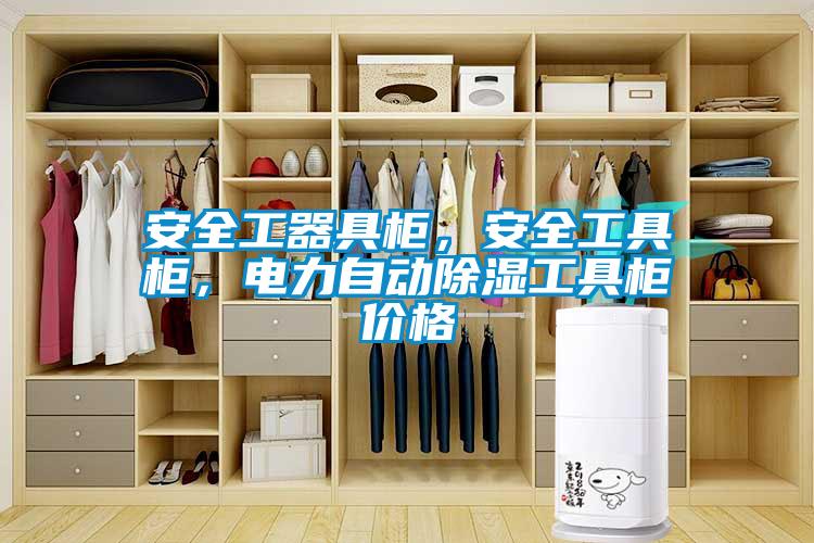 安全工器具柜，安全工具柜，電力自動除濕工具柜價格