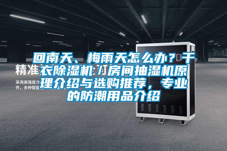 回南天、梅雨天怎么辦？干衣除濕機／房間抽濕機原理介紹與選購?fù)扑]，專業(yè)的防潮用品介紹