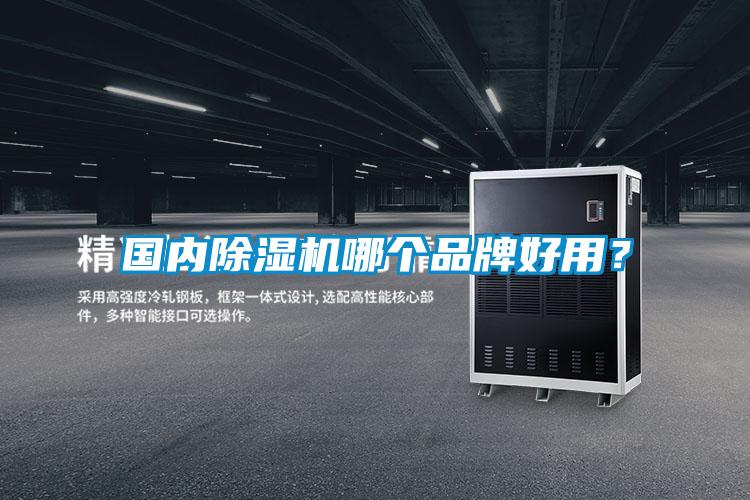 國(guó)內(nèi)除濕機(jī)哪個(gè)品牌好用？