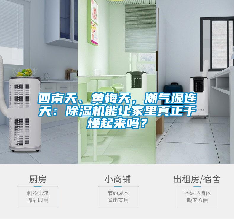回南天、黃梅天，潮氣濕連天：除濕機能讓家里真正干燥起來嗎？