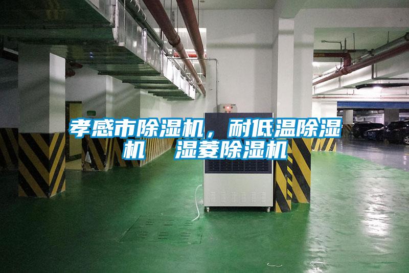 孝感市除濕機(jī)，耐低溫除濕機(jī)  濕菱除濕機(jī)