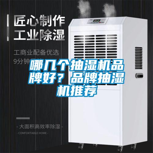 哪幾個抽濕機品牌好？品牌抽濕機推薦