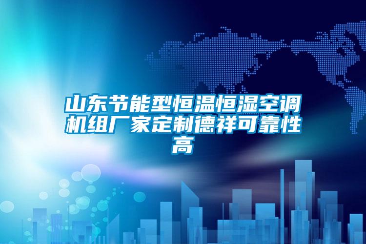 山東節(jié)能型恒溫恒濕空調(diào)機(jī)組廠(chǎng)家定制德祥可靠性高