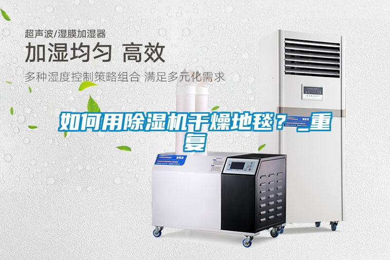 如何用除濕機干燥地毯？_重復