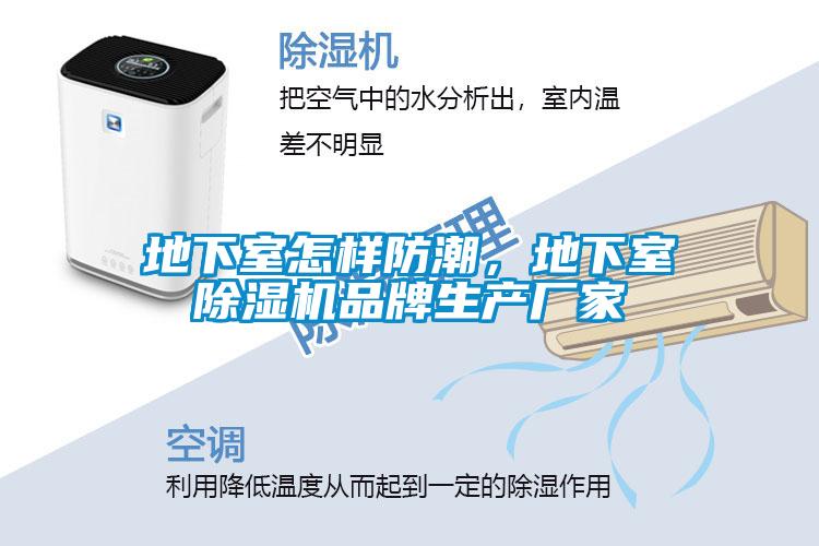 地下室怎樣防潮，地下室除濕機品牌生產(chǎn)廠家