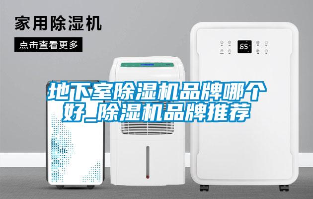 地下室除濕機(jī)品牌哪個好_除濕機(jī)品牌推薦