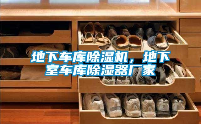 地下車庫除濕機(jī)，地下室車庫除濕器廠家