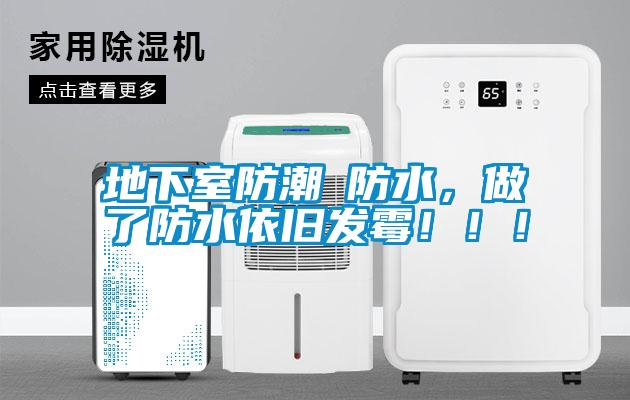 地下室防潮≠防水，做了防水依舊發(fā)霉?。?！