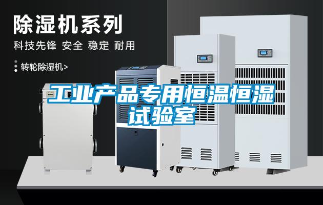 工業(yè)產品專用恒溫恒濕試驗室