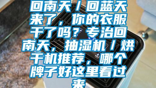 回南天／回藍天來了，你的衣服干了嗎？專治回南天，抽濕機／烘干機推薦，哪個牌子好這里看過來