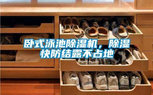 臥式泳池除濕機，除濕快防結露不占地