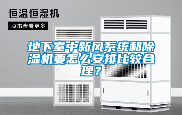 地下室中新風(fēng)系統(tǒng)和除濕機(jī)要怎么安排比較合理？