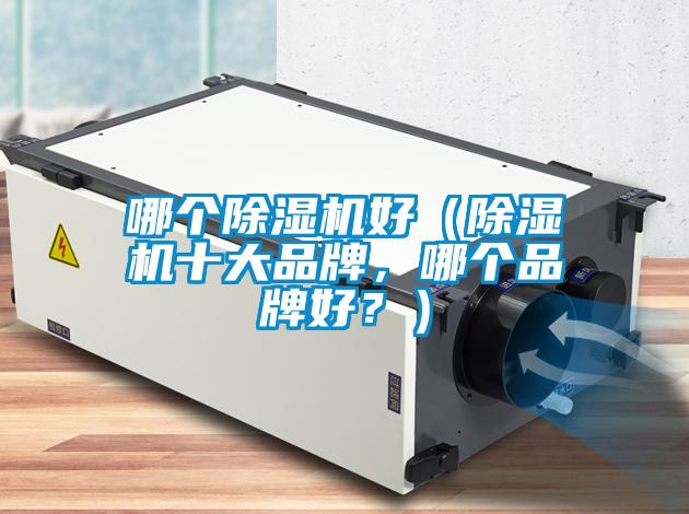 哪個(gè)除濕機(jī)好（除濕機(jī)十大品牌，哪個(gè)品牌好？）