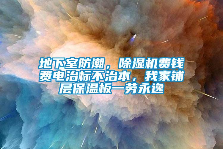 地下室防潮，除濕機(jī)費(fèi)錢費(fèi)電治標(biāo)不治本，我家鋪層保溫板一勞永逸