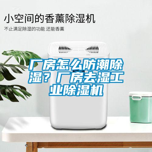 廠房怎么防潮除濕？廠房去濕工業(yè)除濕機