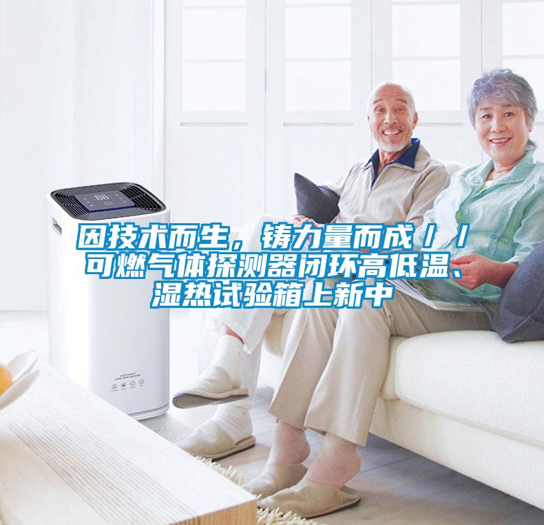 因技術(shù)而生，鑄力量而成／／可燃?xì)怏w探測器閉環(huán)高低溫、濕熱試驗(yàn)箱上新中