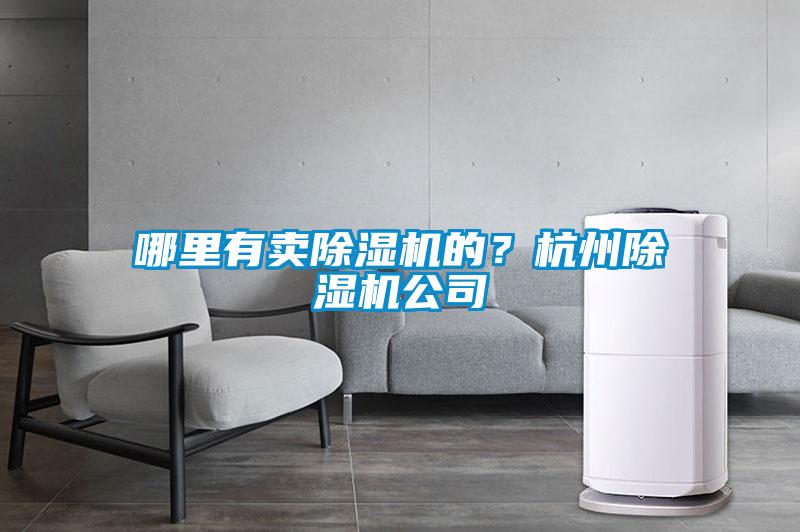 哪里有賣除濕機(jī)的？杭州除濕機(jī)公司