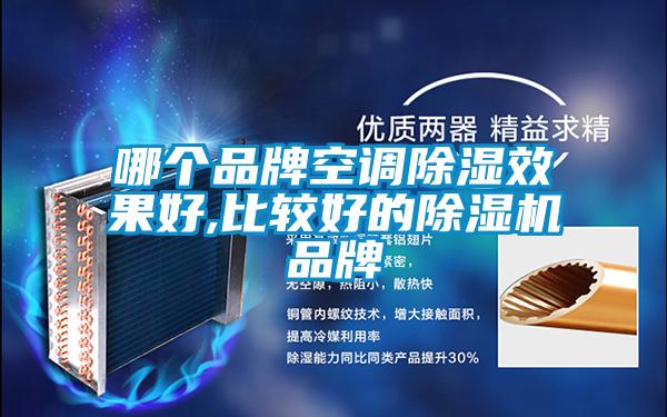 哪個品牌空調(diào)除濕效果好,比較好的除濕機品牌