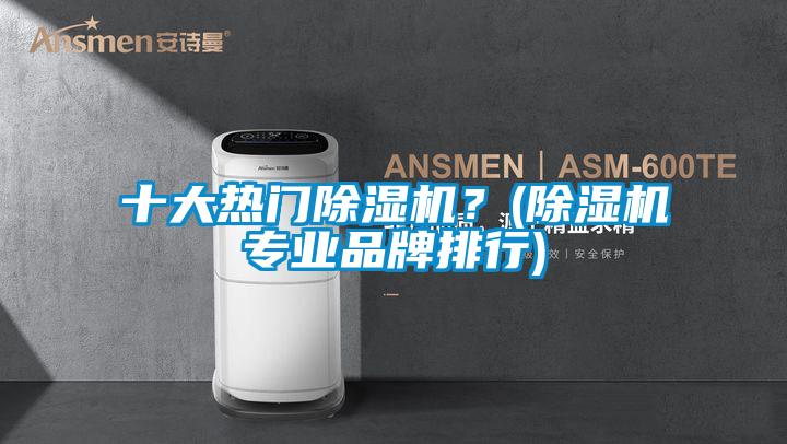 十大熱門除濕機？(除濕機專業(yè)品牌排行)